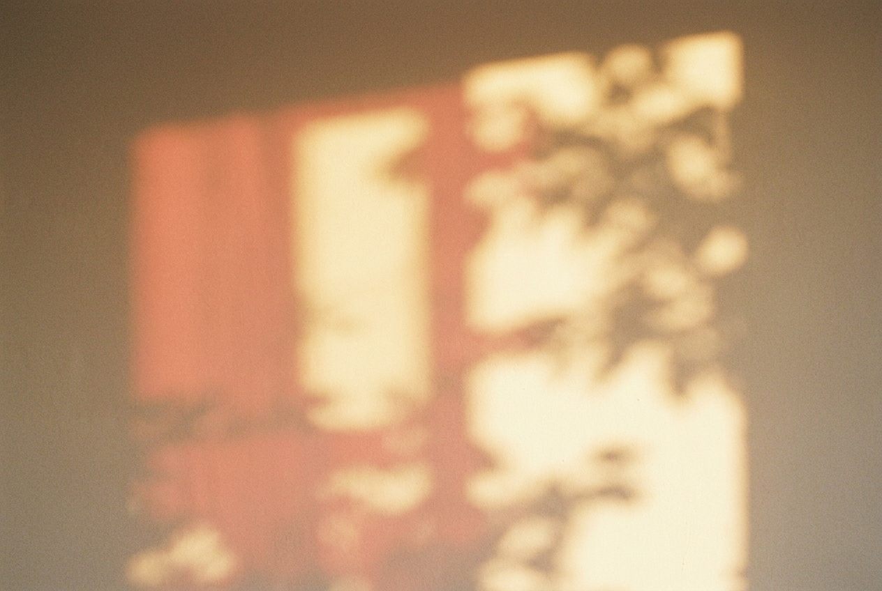 Rectangles of sunlight and leaf shadows falling across a bare cream wall